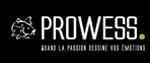 Prowess Logo 1